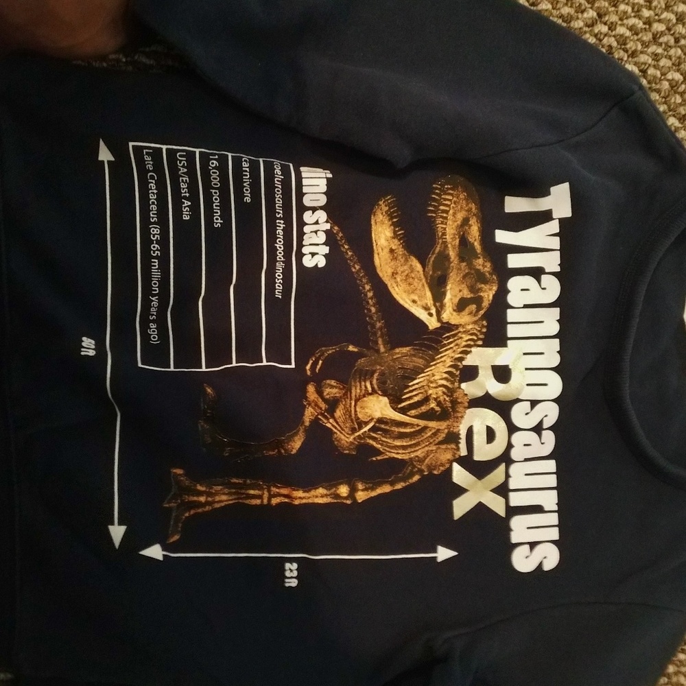 Graphic sweatshirt